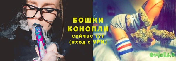 прущая мука Горняк