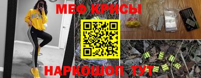 гашик Ливны