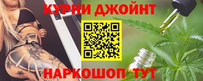 гашик Ливны