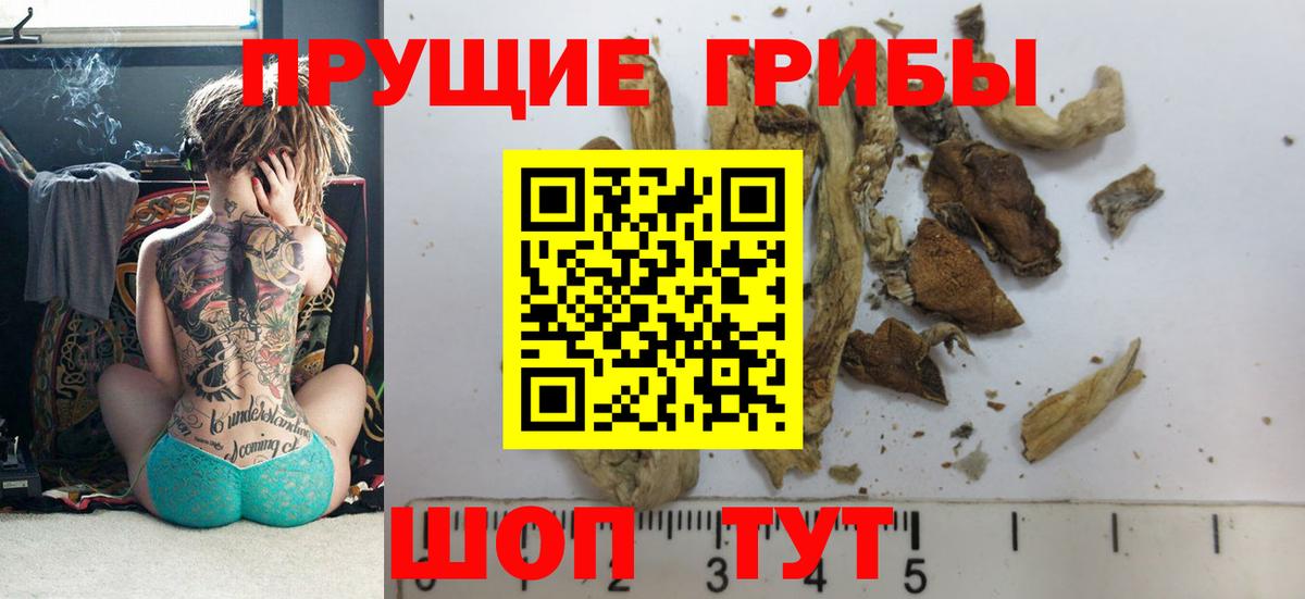 Железногорск  Псилоцибиновые грибы Magic Shrooms  Вход с VPN 